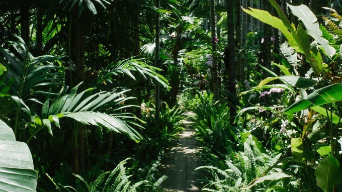 A Plants Nursery